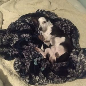 Meet your Posher, Eva